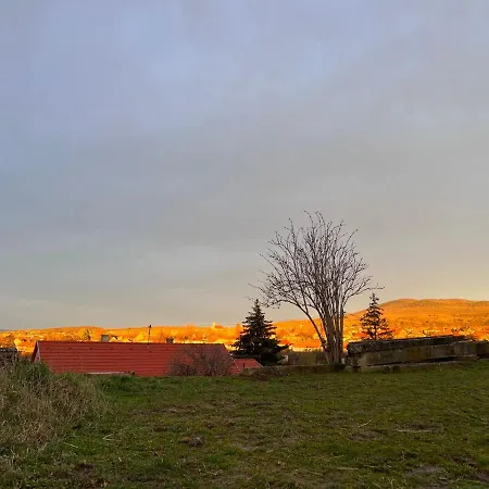 Harpia Feszek Pécsvárad