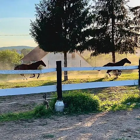 Lejlighed Harpia Feszek Pécsvárad